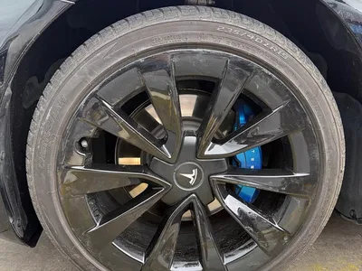 2021 Tesla Model 3 Standard Range Rear-Wheel Drive Upgrade, фото 4, лот 10383268