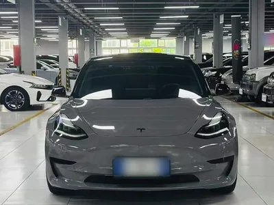 2020 Tesla Model 3 Standard Range Rear-Wheel Drive Upgrade, фото 3, лот 10319322