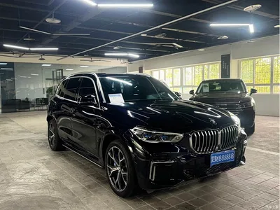 2022 BMW X5 Model xDrive 40Li M Sport Package, фото 3, лот 10463254