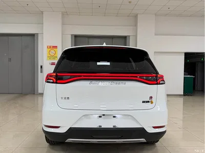 2018 BYD Tang 2.0T Automatic Smart Connection Noble Edition 7-Seater China V, фото 4, лот 10257102