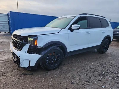 2024 KIA TELLURIDE SX-PRESTIGE X-PRO, фото 1, лот 10779768