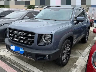 2021 Haval Big Dog 1.5T DCT 2WD Border Collie Edition, фото 1, лот 11200649