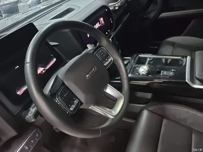 2022 Haval Big Dog Model 2.0T DCT AWD Howling Celestial Dog Hunting Edition, фото 4, лот 10361269
