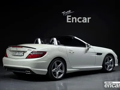 2013 Mercedes-Benz SLK-Class 200 Blue Efficiency, фото 1, лот 10072147