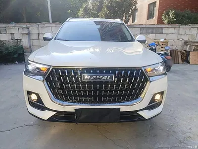 2023 Haval H6 National Trend Edition 1.5T Automatic Champion, фото 3, лот 10283898