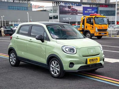 2022 Leapmotor T03 Golden Glory Edition, фото 3, лот 10316834