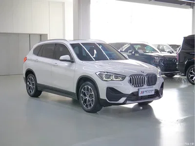2021 BMW X1 sDrive25Li Leading, фото 3, лот 10422140