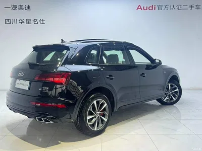 2025 Audi Q5L 40 TFSI Luxury Dynamic, фото 4, лот 10234478
