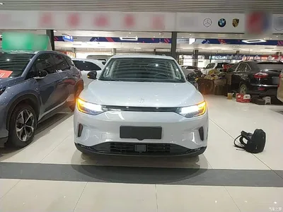 2023 Leapmotor C11 Pure Electric 500 Comfort Edition, фото 3, лот 10765762