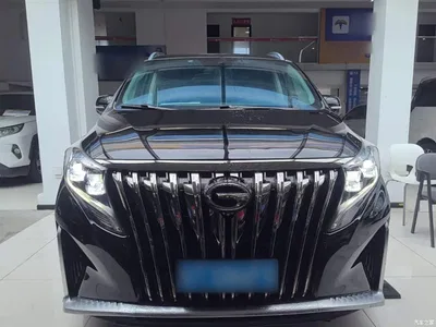 2020 GAC Trumpchi Trumpchi M8 Master Edition 390T Ultimate, фото 3, лот 10422454