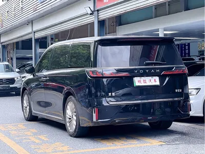 2022 Voyah Auto Voyah Dreamer Low-carbon Edition Think+Smart Driving Package, фото 4, лот 10358636