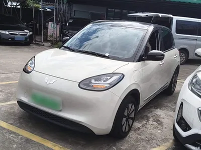 2024 Wuling Motors Wuling Bingo 333km Comfort Edition, фото 1, лот 10370309