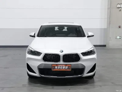 2021 BMW X2 sDrive25i Edge Edition, фото 3, лот 11499320