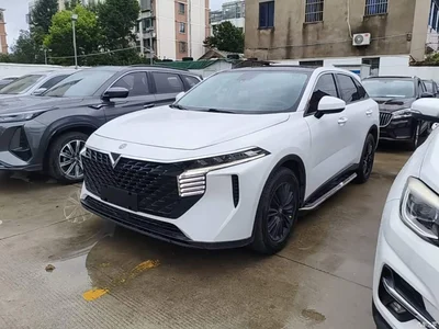 2021 Venucia Big V 260T Idol Edition, фото 2, лот 11153575