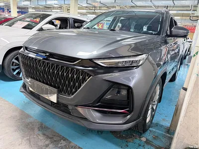 2022 Changan Oshan X7 PLUS 1.5T Blue Whale Edition Auto Executive, фото 1, лот 10407255