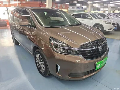 2020 Buick GL8 Land Business Class 652T Premium, фото 4, лот 10258720
