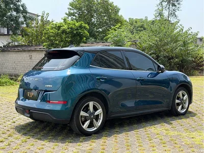 2021 Ora Good Cat 400km Standard Range Athena Edition (LFP), фото 4, лот 10331641