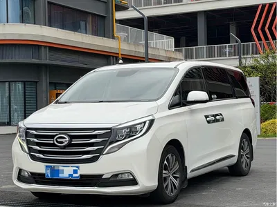 2018 GAC Trumpchi Trumpchi M8 320T Premium Edition, фото 1, лот 10419881