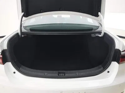 2019 BYD Qin New Energy Long Range Edition Premium, фото 4, лот 10274746