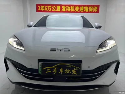 2025 BYD Seal 06 New Energy DM-i Smart Drive 80KM Luxury, фото 2, лот 10480129
