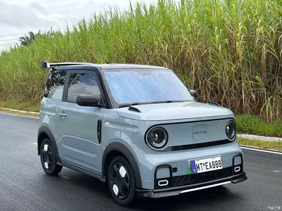 2025 Geely Galaxy Panda Model Year 210km Panda Kart, фото 3, лот 11132095
