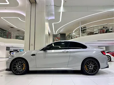 2018 BMW M2 Thunder Edition, фото 3, лот 10889558