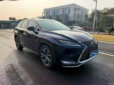 2020 Lexus RX 300 AWD F SPORT (China VI), фото 3, лот 10315095