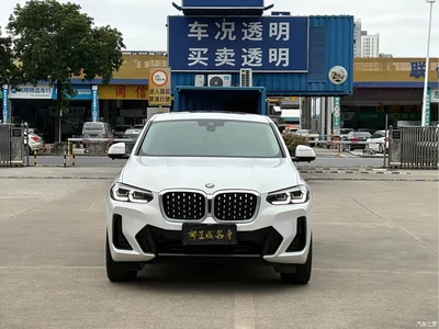 2022 BMW X4 xDrive 25i M Sport Package, фото 2, лот 11564789