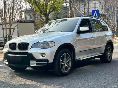 2009 BMW X5 (Import) xDrive30i Luxury, фото 1, лот 10464055