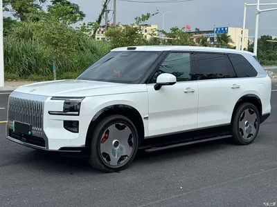 2025 ZEEKR 9X Standard Edition, фото 1, лот 10481457