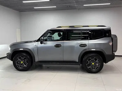 2023 Jetour Traveler 2.0T 4WD Cross PRO+, фото 4, лот 10428795