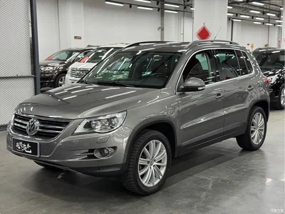 2009 Volkswagen Tiguan Model 2.0TSI Luxury Edition, фото 1, лот 10480734