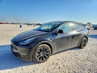 2023 TESLA MODEL Y, фото 1, лот 10855698
