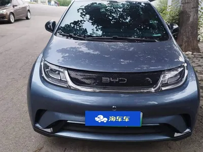 2024 BYD Dolphin Glory Edition 420km Freedom Edition, фото 2, лот 10251527