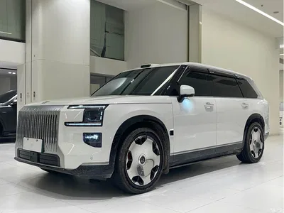 2025 ZEEKR 9X Model Standard, фото 1, лот 10290881