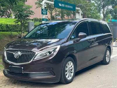 2018 Buick GL8 ES 28T Comfort Type China VI, фото 1, лот 10248767