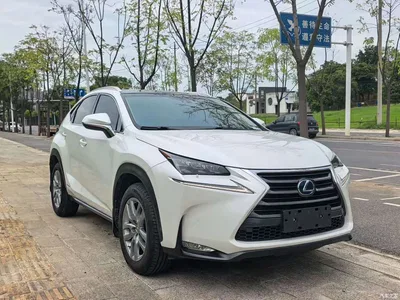 2015 Lexus NX 300h AWD F SPORT, фото 3, лот 10317412