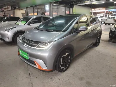 2021 BYD Dolphin Model 405km Fashion Edition, фото 2, лот 10259702