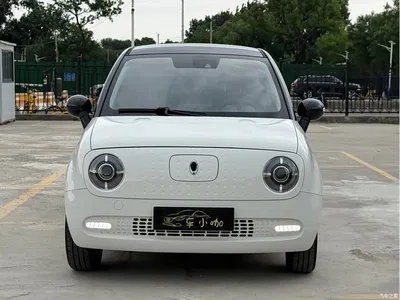 2021 Ora Black Cat 351km Luxury Model, фото 2, лот 10332245