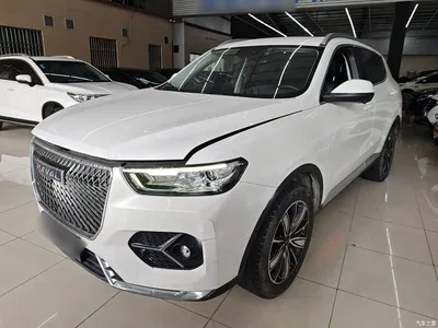 2021 Haval H6 2.0GDIT Automatic Champion Edition, фото 2, лот 11249444