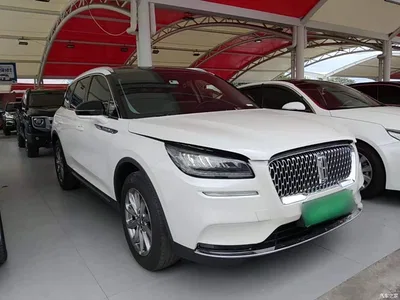 2020 Lincoln Adventurer 2.0T 2WD Premium Enjoyment Edition, фото 4, лот 10357530