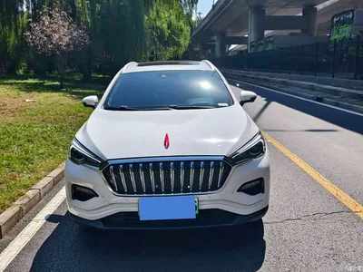2019 Hongqi E-HS3 Smart Connection Flag Leader AWD Version, фото 2, лот 10448770