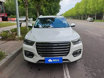 2019 Haval H6 1.5GDIT Automatic Champion Edition China VI, фото 2, лот 10298681