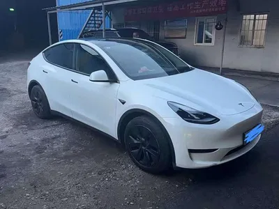 2024 Tesla Model Y Rear-Wheel Drive Version, фото 3, лот 10764751