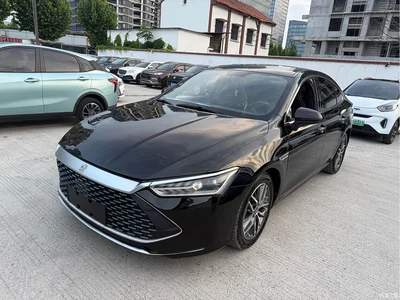2021 BYD Qin PLUS DM-i 55KM Premium, фото 1, лот 10363109