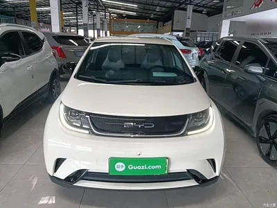 2023 BYD Dolphin 420km Freedom Edition, фото 3, лот 10259963