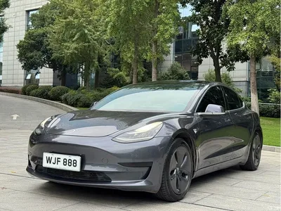2019 Tesla Model 3 Standard Range Rear-Wheel Drive Upgrade, фото 1, лот 11573631