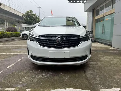 2021 Buick GL8 Land Business Class 652T Smart Luxury, фото 1, лот 10252018