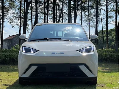 2023 BYD Seagull Freedom Edition, фото 2, лот 10257144