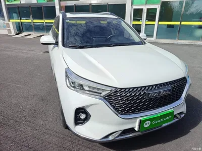 2021 Haval M6 PLUS 1.5T Manual Luxury Smart Connect, фото 4, лот 10672314